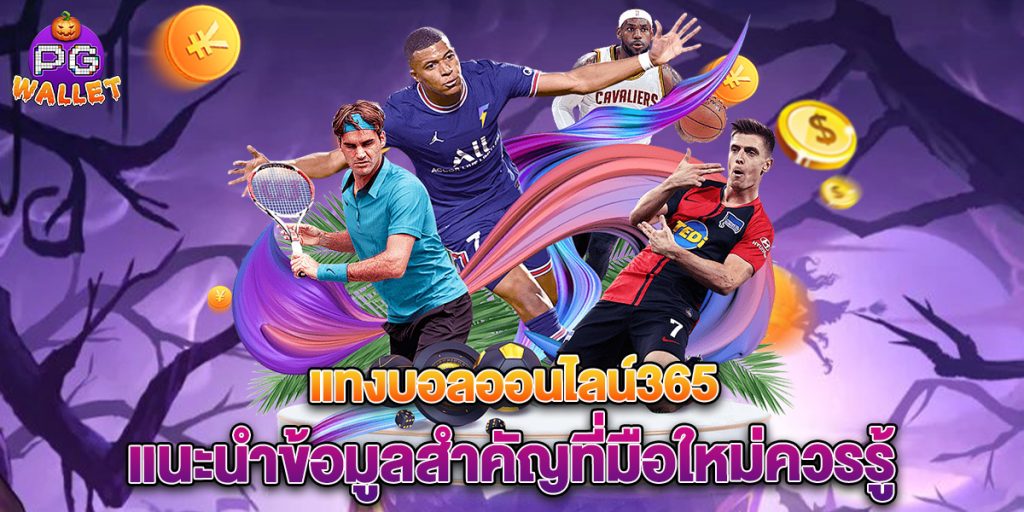 แทงบอลออนไลน์365 แนะนำข้อมูลสำคัญที่มือใหม่ควรรู้ 1 แทงบอลออนไลน์365-แนะนำข้อมูลสำคัญที่มือใหม่ควรรู้