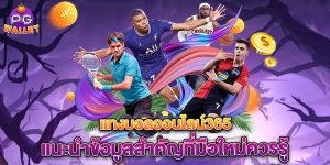 แทงบอลออนไลน์365-แนะนำข้อมูลสำคัญที่มือใหม่ควรรู้